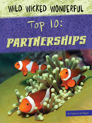 cover image of Top 10 Partnerships